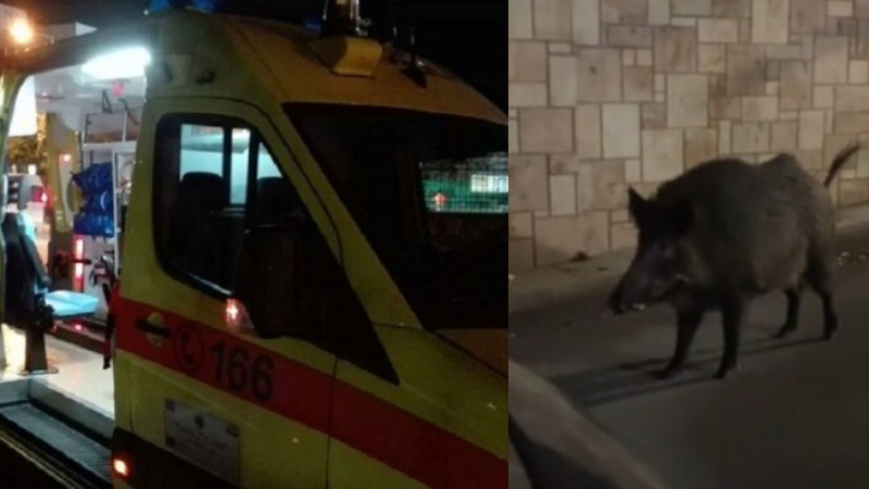 Alldaynews.gr 24χρονος