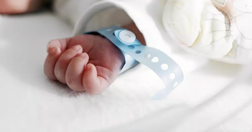 Alldaynews.gr Προωράκι