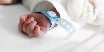 Alldaynews.gr Αυτό είναι το εξώφυλλο του βιβλίου του Αλέξη Τσίπρα, «Ιθάκη» – Οι προσωπικές αφηγήσεις που μετατρέπονται σε πολιτικό θρίλερ