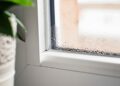 Alldaynews.gr To πάμφθηνο τρικ για να φεύγει η υγρασία από τα παράθυρα