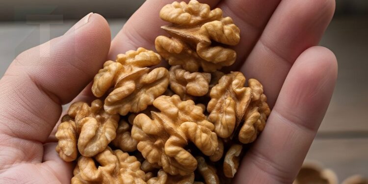 Alldaynews.gr Γιατί τα καρύδια αξίζουν μια θέση στην καθημερινή σας διατροφή