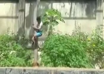 Τον έφαγε ζωντανό μπροστά στα μάτια των επισκεπτών – 19χρονος μπήκε σε κλουβί με λιοντάρι