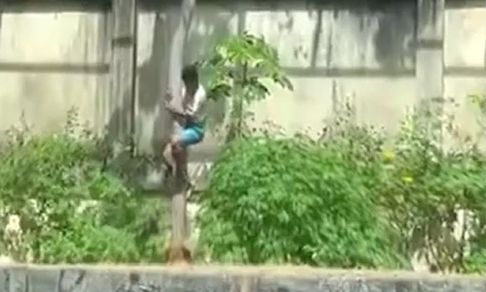 Τον έφαγε ζωντανό μπροστά στα μάτια των επισκεπτών – 19χρονος μπήκε σε κλουβί με λιοντάρι