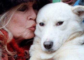 Η διαμάχη για την περιουσία της Μπριζίτ Μπαρντό – Ο γιος της διεκδικεί 65 εκατ. ευρώ από την Animal Foundation