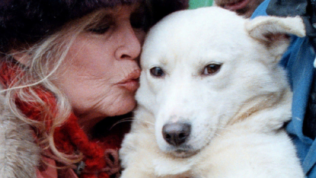 Η διαμάχη για την περιουσία της Μπριζίτ Μπαρντό – Ο γιος της διεκδικεί 65 εκατ. ευρώ από την Animal Foundation