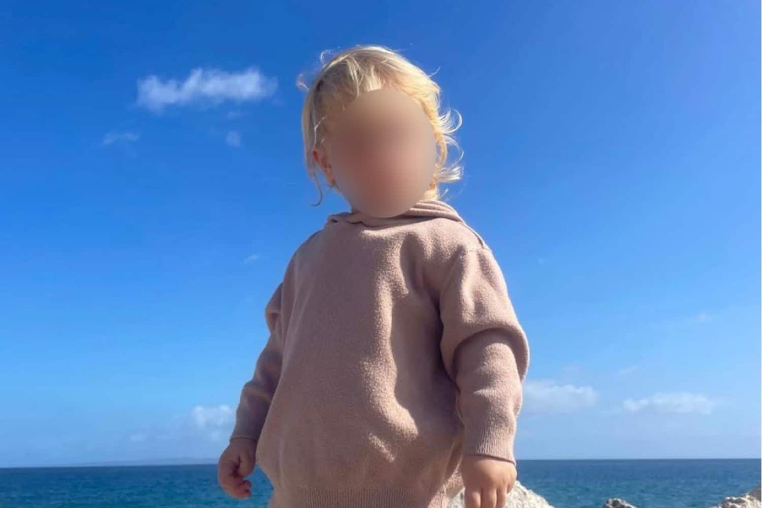 Αυτός είναι το ξανθό αγγελούδι που κατασπάραξε το πίτμπουλ χτες στην Ζάκυνθο - Μαθεύτηκε όλη η αλήθεια 4 dixronos zakynthos skylos 7 12 2025 2