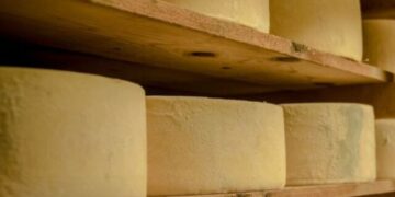 ΑΥΤΟ είναι το καλύτερο τυρί στον κόσμο για το 2026 σύμφωνα με το Taste Atlas και είναι …ελληνικό!