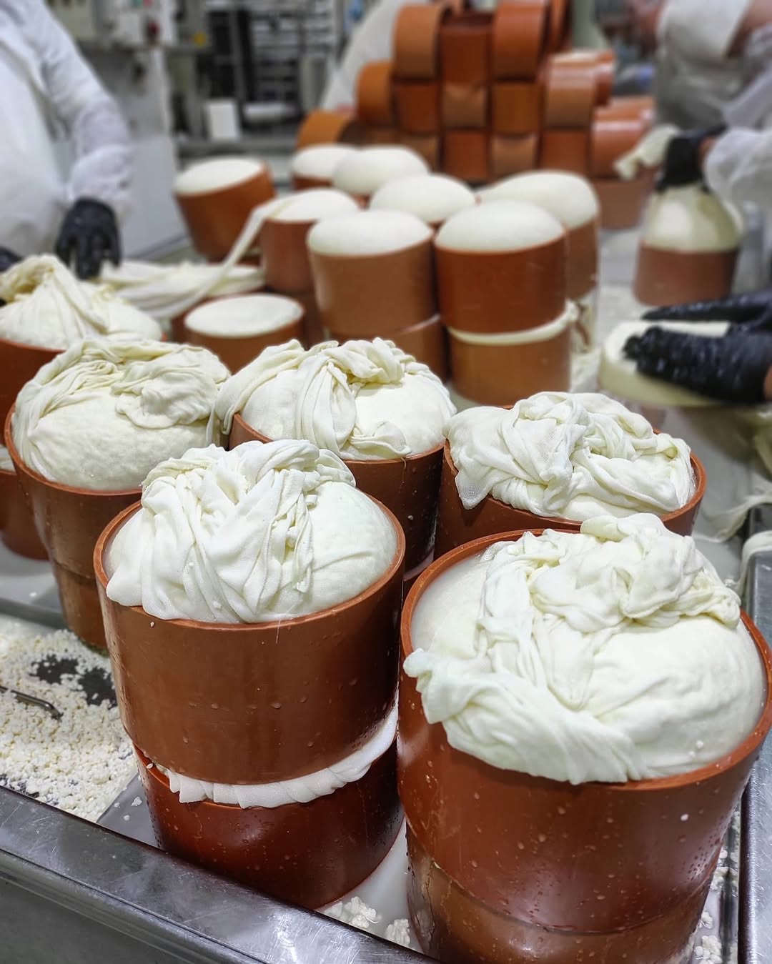 Alldaynews.gr καρχαρία