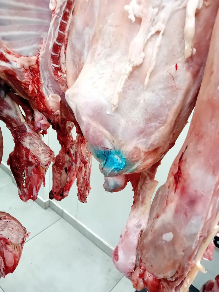 Alldaynews.gr προαστιακός