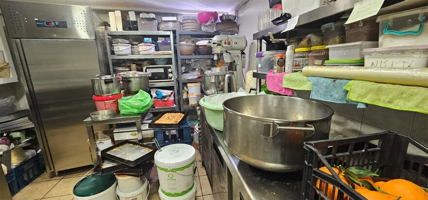 Alldaynews.gr προαστιακός