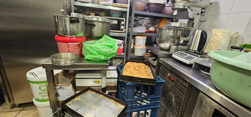 Alldaynews.gr προαστιακός