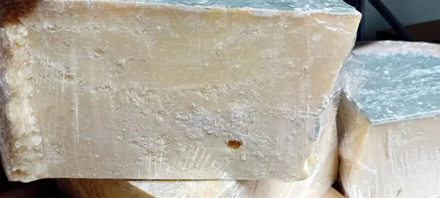 Alldaynews.gr προαστιακός