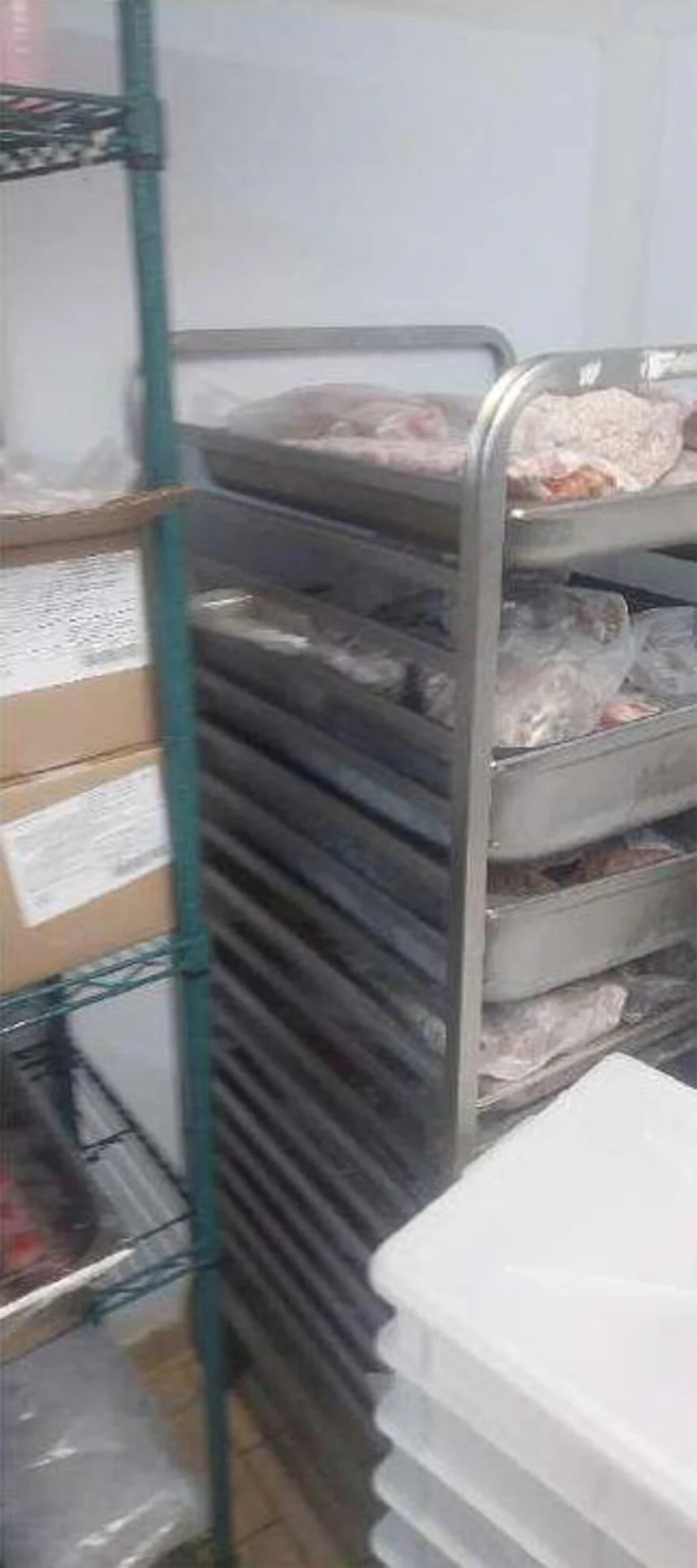 Alldaynews.gr προαστιακός