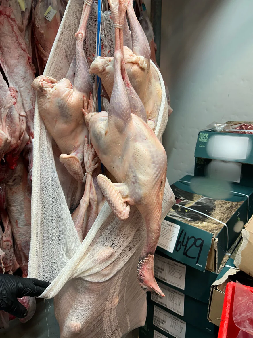 Alldaynews.gr προαστιακός