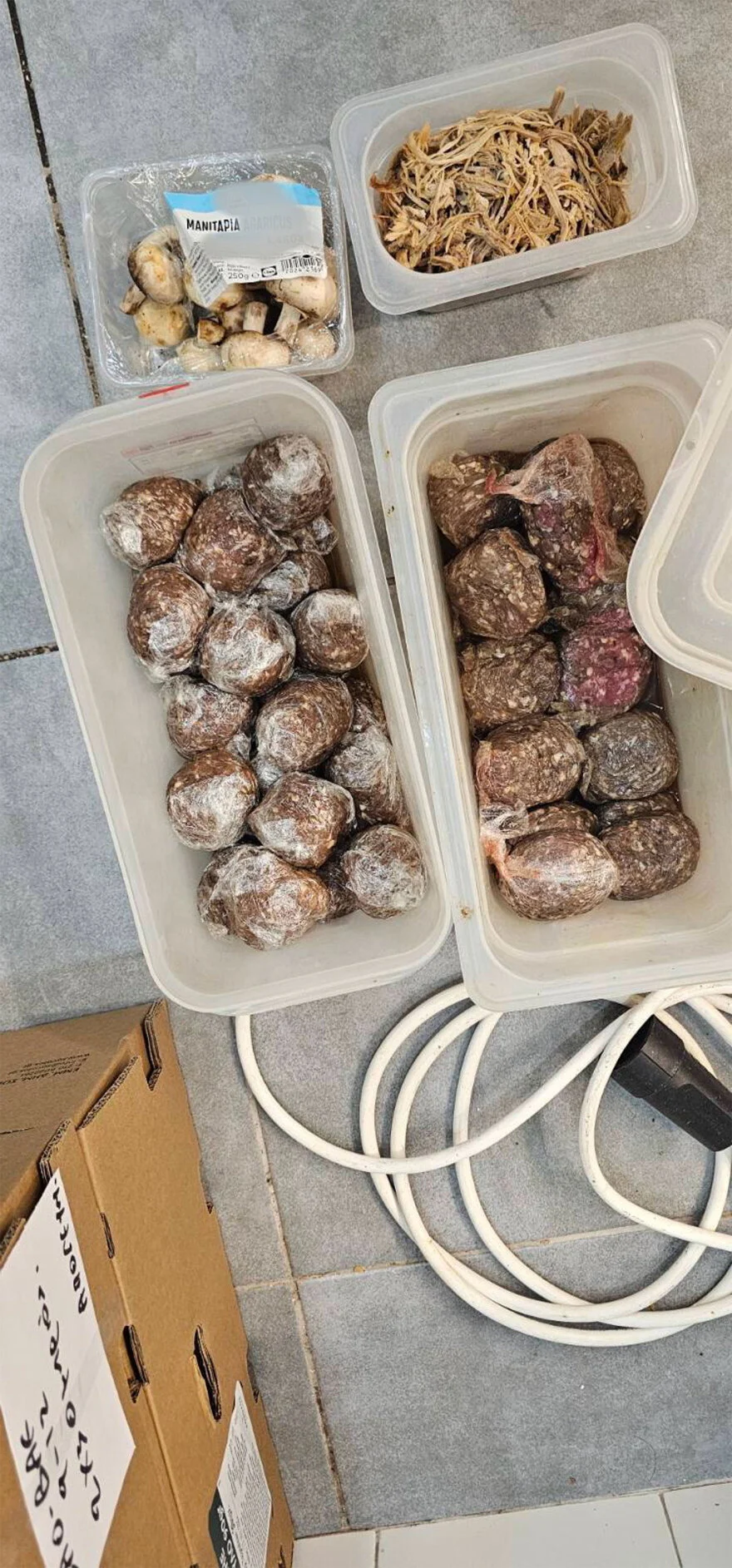 Alldaynews.gr προαστιακός