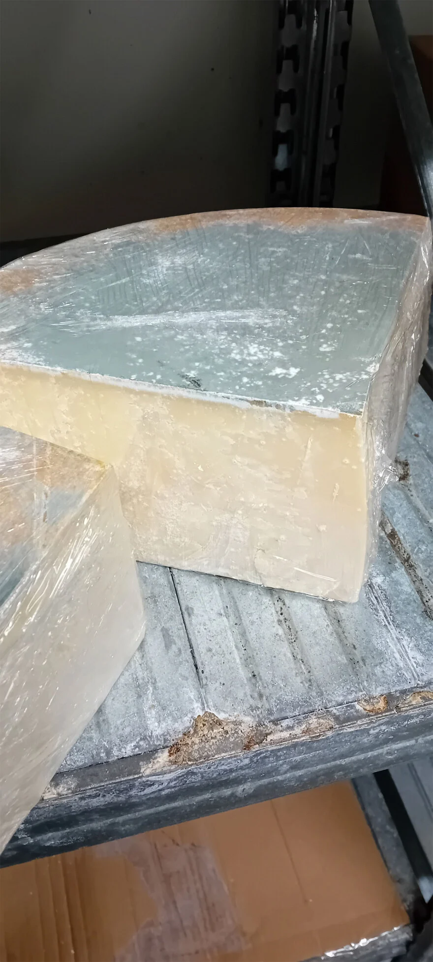 Alldaynews.gr προαστιακός