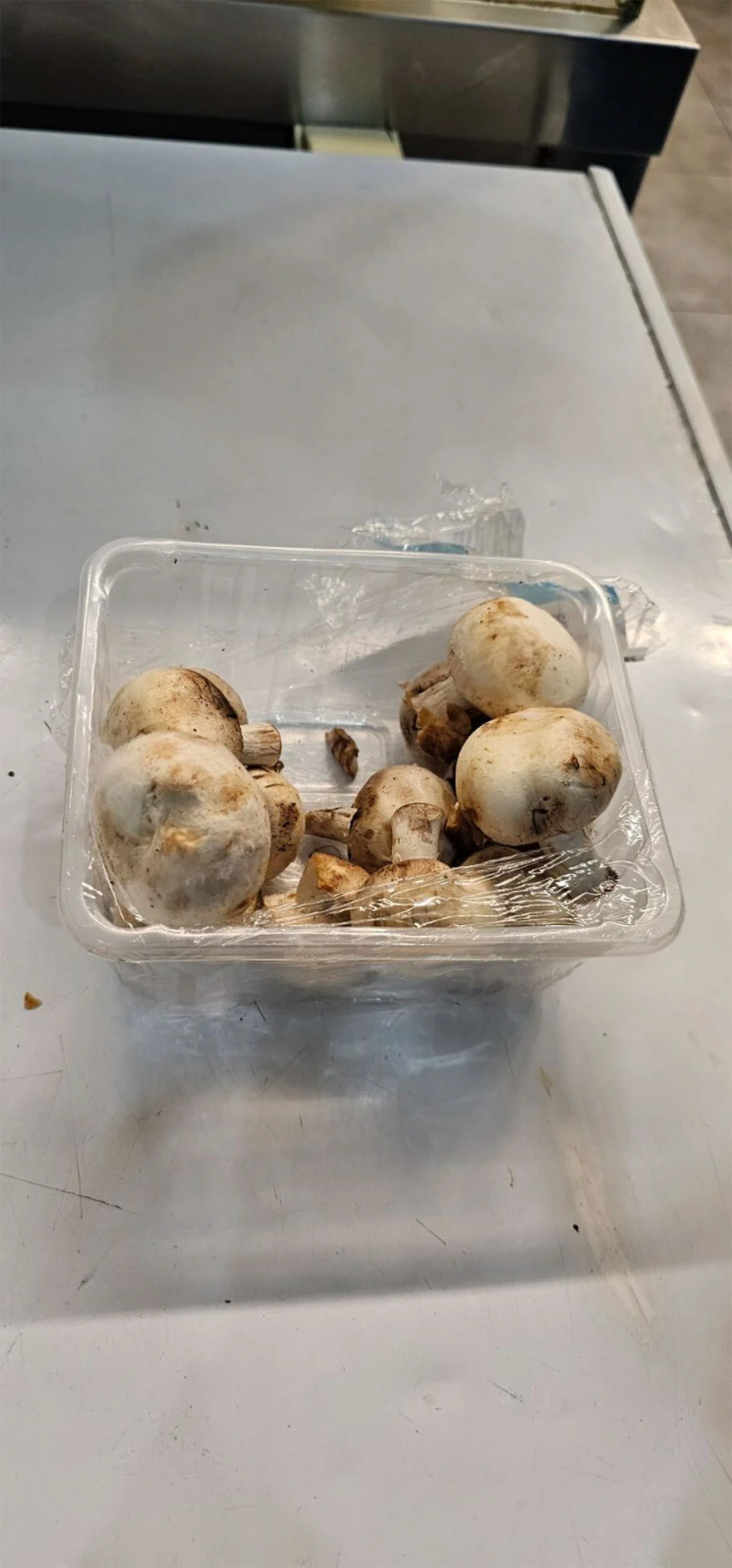 Alldaynews.gr προαστιακός