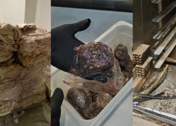 Χαλασμένα τρόφιμα, βρόμικοι πάγκοι, άθλιες συνθήκες υγιεινής – Σοκάρουν οι φωτογραφίες με τους 12 τόνους ακατάλληλων τροφίμων από καταστήματα