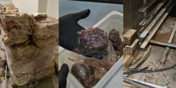 Alldaynews.gr Χαλασμένα τρόφιμα, βρόμικοι πάγκοι, άθλιες συνθήκες υγιεινής – Σοκάρουν οι φωτογραφίες με τους 12 τόνους ακατάλληλων τροφίμων από καταστήματα