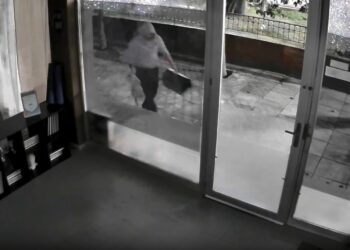 Άγνωστος απαγάγει γάτες: «Φώναζε σπαρακτικά στα χέρια του» (video)