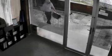 Άγνωστος απαγάγει γάτες: «Φώναζε σπαρακτικά στα χέρια του» (video)