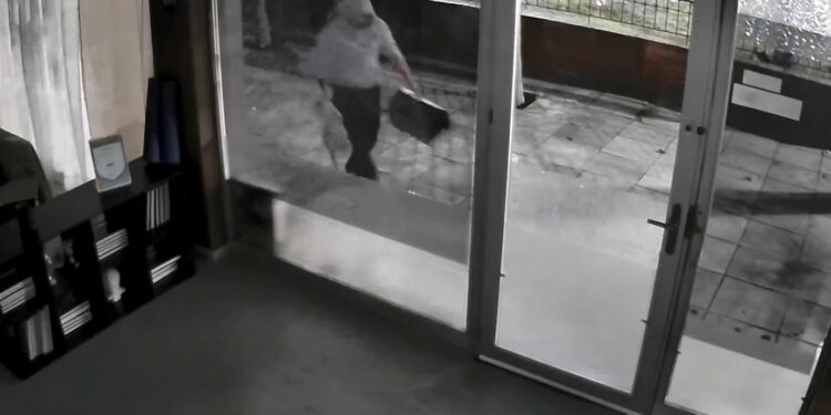 Άγνωστος απαγάγει γάτες: «Φώναζε σπαρακτικά στα χέρια του» (video)