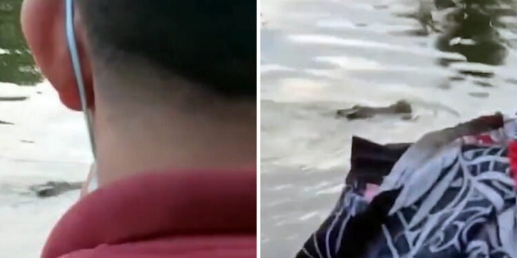 Κροκόδειλος άρπαξε 10χρονο και τον κατασπάραξε (video)