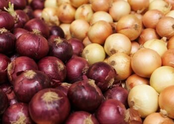 Σε τι διαφέρει το άσπρο κρεμμύδι από το κόκκινο