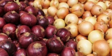 Σε τι διαφέρει το άσπρο κρεμμύδι από το κόκκινο