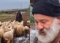 «Δεν έχω κλάψει ποτέ στη ζωή μου, δεν έχω γονατίσει»: Κτηνοτρόφος αποχαιρέτησε τα 450 πρόβατά του που θα θανατωθούν λόγω ευλογιάς