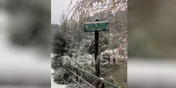 Η Πάρνηθα ντύθηκε στα «λευκά»: Διακόπηκε η κυκλοφορία – Πού χιονίζει τώρα (video)