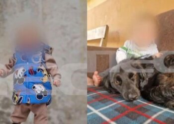 «Το παιδί μου με είδε, μου χαμογέλασε και πέθανε»: Συγκινεί ο πατέρας μετά την επίθεση του σκύλου στον 2χρονο (video)