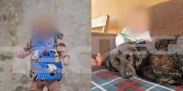 Alldaynews.gr «Το παιδί μου με είδε, μου χαμογέλασε και πέθανε»: Συγκινεί ο πατέρας μετά την επίθεση του σκύλου στον 2χρονο στη Ζάκυνθο