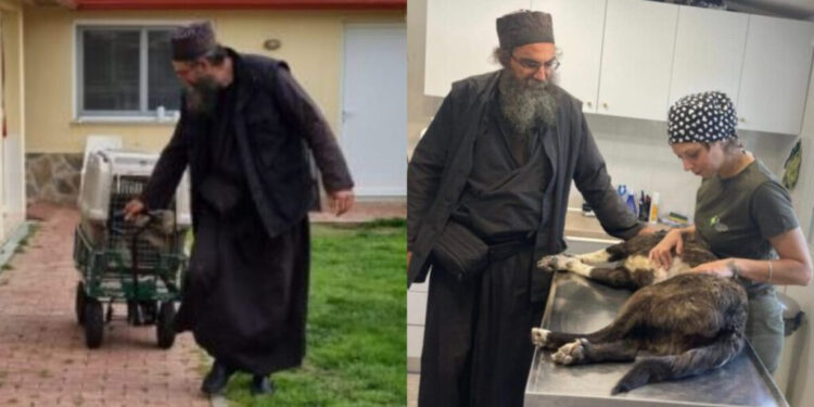 Ευλογημένος άνθρωπος: Ο πάτερ Ελευθέριος εδώ και χρόνια στειρώνει, περιθάλπει και σώζει αδέσποτα