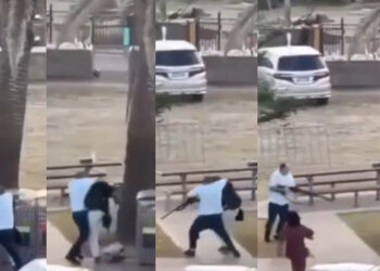 Μακελειό στο Σίδνεϊ: Η στιγμή που πολίτης-ήρωας αφοπλίζει ένοπλο τρομοκράτη που ήταν έτοιμος να εκτελέσει αθώους ανθρώπους