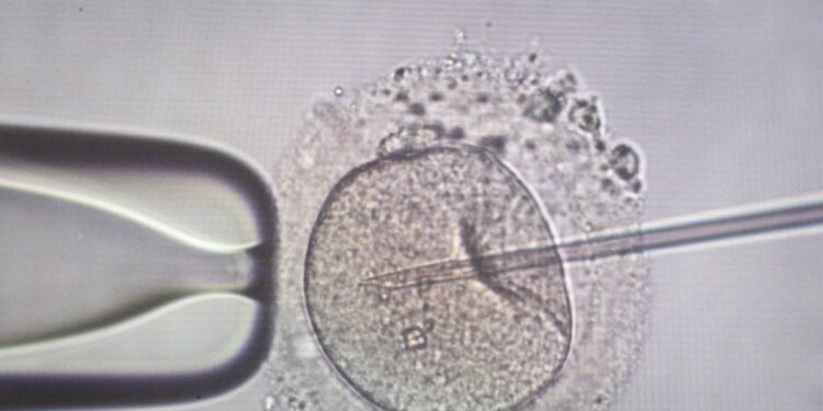 Alldaynews.gr Συναγερμός – Βρέθηκε καρκινικό γονίδιο σε σπέρμα δότη γνωστής Τράπεζας σπέρματος: Βρέθηκαν μέχρι τώρα 197 παιδιά – Κάποια ήδη πέθαναν