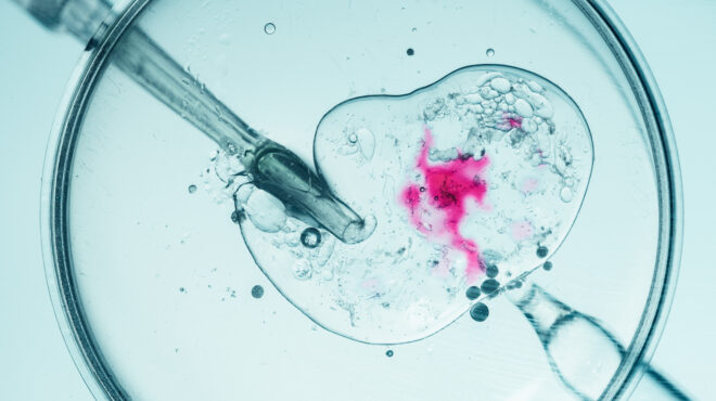 Alldaynews.gr Φειδία