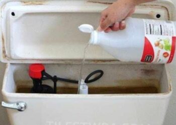 Ρίξτε ξύδι στο καζανάκι της τουαλέτας και θα εκπλαγείτε – Δεν μας τα λέει κανείς αυτά