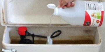 Ρίξτε ξύδι στο καζανάκι της τουαλέτας και θα εκπλαγείτε – Δεν μας τα λέει κανείς αυτά