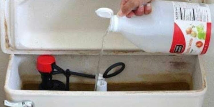 Ρίξτε ξύδι στο καζανάκι της τουαλέτας και θα εκπλαγείτε – Δεν μας τα λέει κανείς αυτά