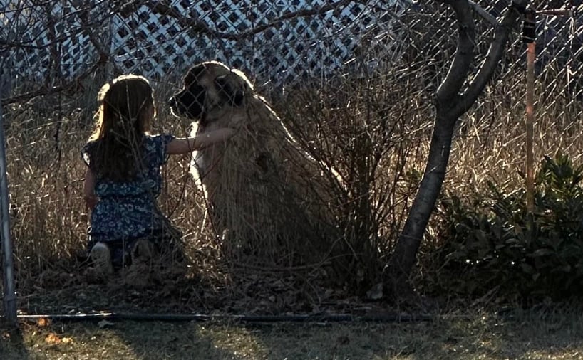 stigmiotypo othonis 2025 09 08 16.12.48