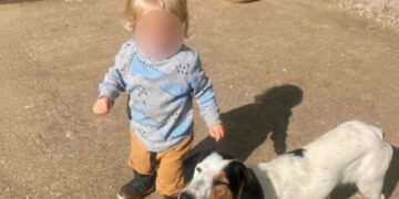 Alldaynews.gr Αυτός είναι το ξανθό αγγελούδι που κατασπάραξε το πίτμπουλ χτες στην Ζάκυνθο – Μαθεύτηκε όλη η αλήθεια