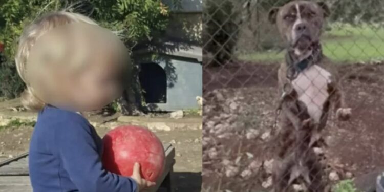 Θρήνος για τον μικρό άγγελο της Ζακύνθου – Αυτός είναι ο λόγος που το πίτμπουλ τον κατασπάραξε και τον σκότωσε