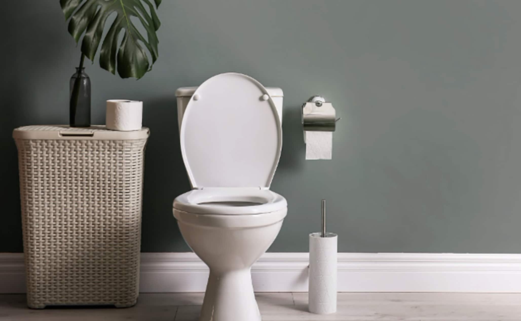 Ρίξτε ξύδι στο καζανάκι της τουαλέτας και θα εκπλαγείτε - Δεν μας τα λέει κανείς αυτά 3 stigmiotypo othonis 2025 12 08 03.44.33