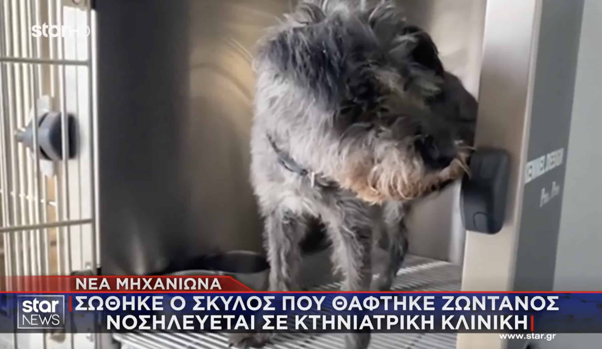 stigmiotypo othonis 2025 12 11 20.22.21 scaled