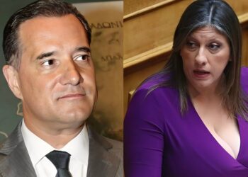 Σοκ με Ζωή και Άδωνι – Τον κατηγόρησε με μια πάρα πολύ βαριά λέξη και είναι έτοιμος να την πετάξει έξω από τη Βουλή