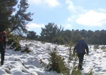 Σχεδόν αγκαλιασμένοι βρέθηκαν οι τέσσερις ορειβάτες – Πώς έγινε η τραγωδία (video)