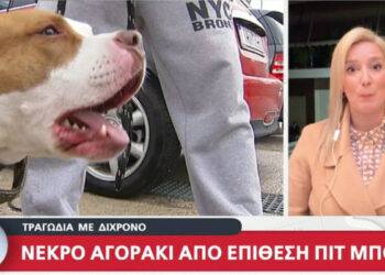 Με δαγκωματιές στο λαιμό από σκύλο το 2χρονο αγόρι που έχασε τη ζωή του – Συγκλονίζει ο πατέρας του (video)