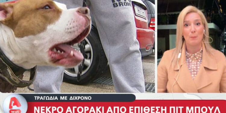 Με δαγκωματιές στο λαιμό από σκύλο το 2χρονο αγόρι που έχασε τη ζωή του – Συγκλονίζει ο πατέρας του