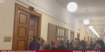 Alldaynews.gr Τη σύλληψη του «Φραπέ» ζητά η Κωνσταντοπούλου – «Απείλησε ότι θα μου στρίψει το λαρύγγι» (video)